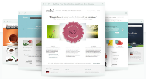 awesome wordpress themes